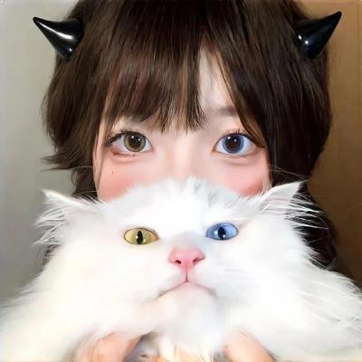 纳瓦尼事件簿